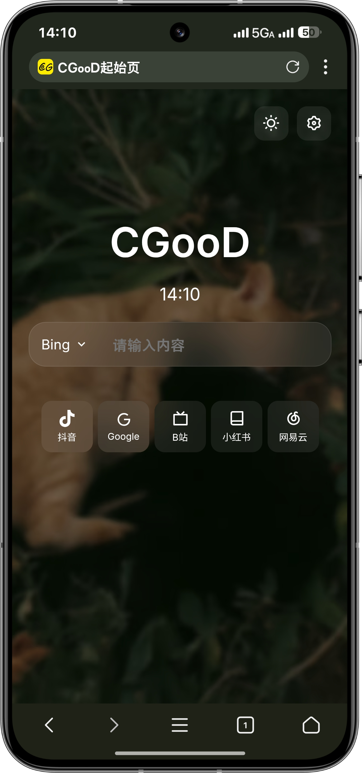 手机端实际截图